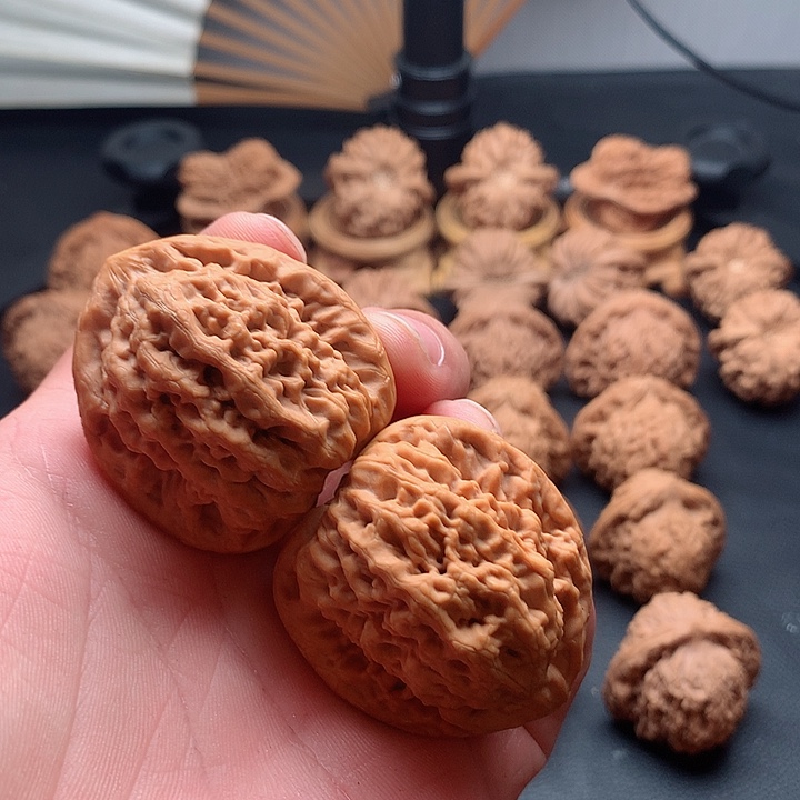 胖*?山地果金公子尺寸42