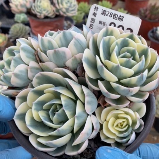 892一一一一一一一一一