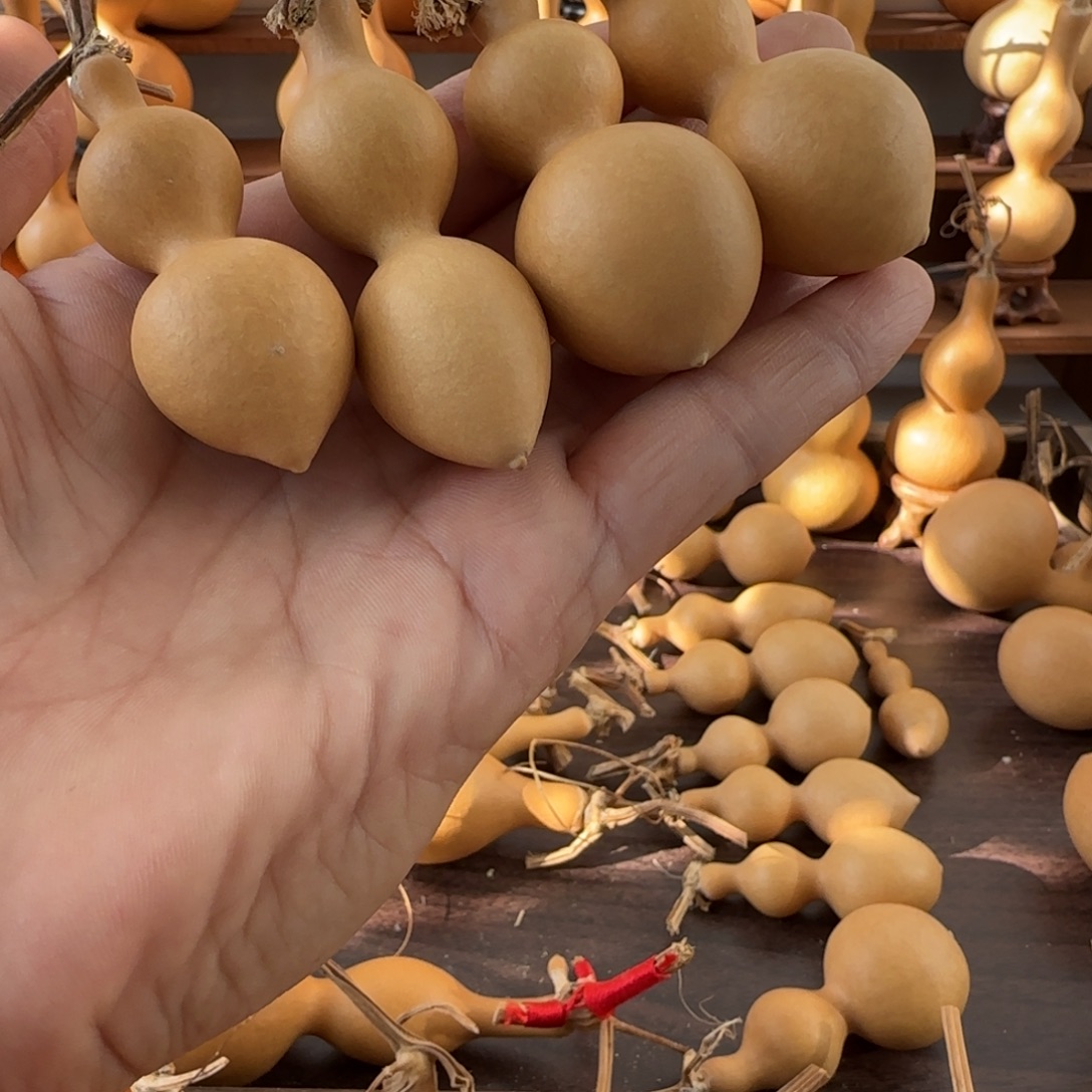 忍***冬11111111111111111