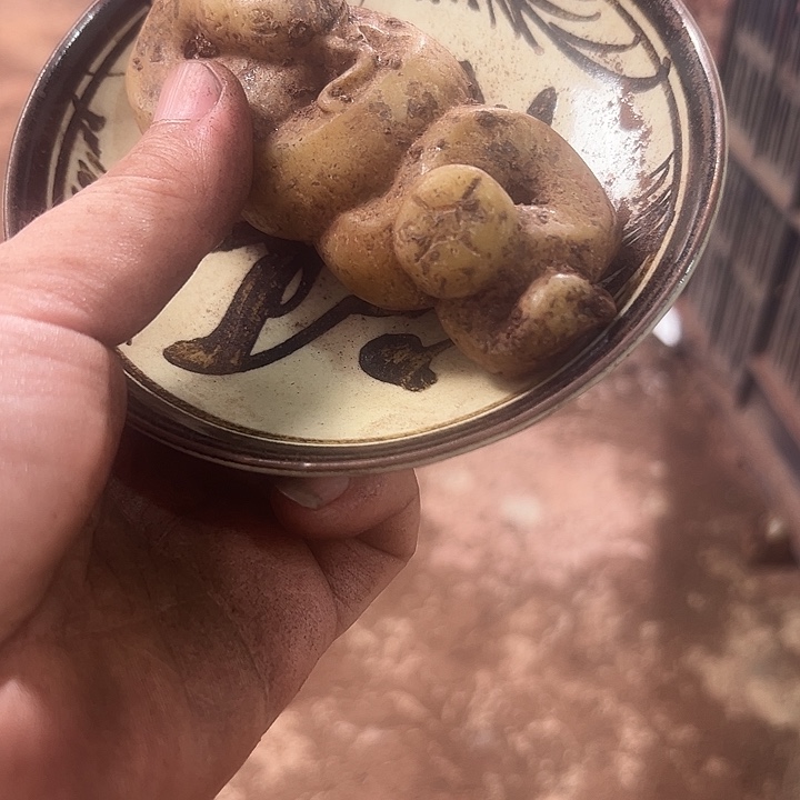 杯瓷器瓷器瓷器瓷器