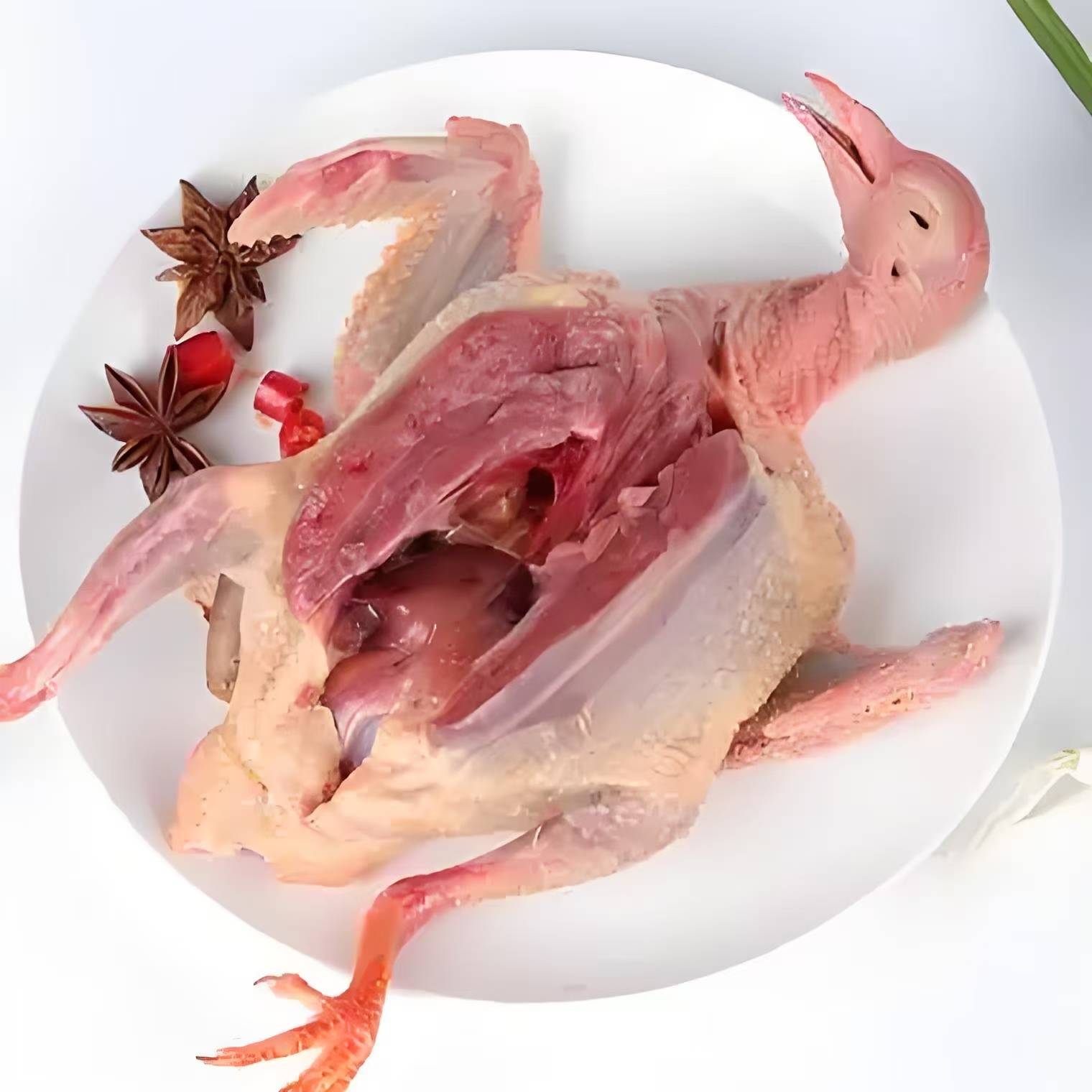 生鲜鸽子直播间专属链接