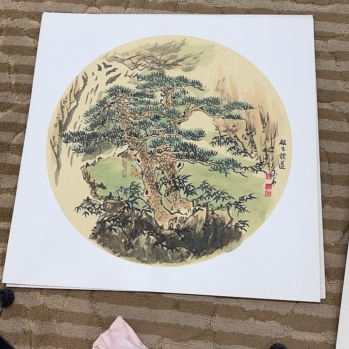 国画花鸟等多种鸟类和鸟类为