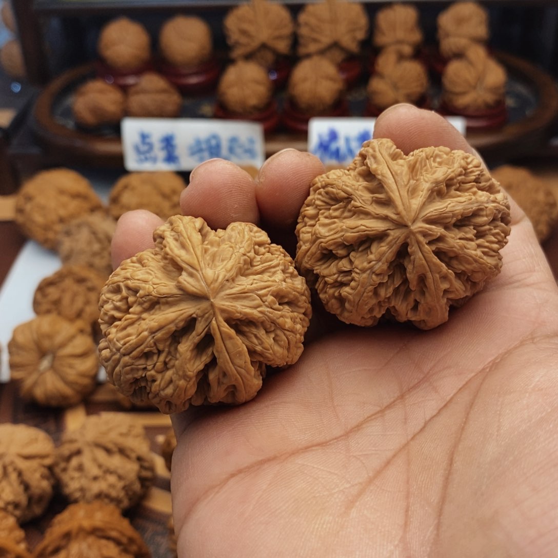 文玩核桃把件 大粗筋异形鹰嘴 4