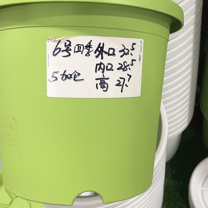 特价6号口32.5高27白色7只无托