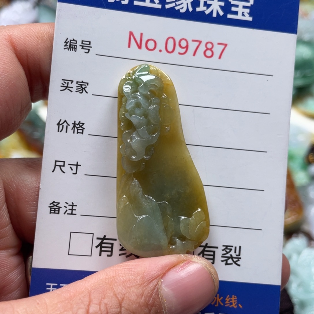 翡翠颈饰未镶嵌翡玉缘翡翠挂件