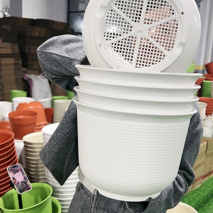 正品矮陶口30高22白色5只无托