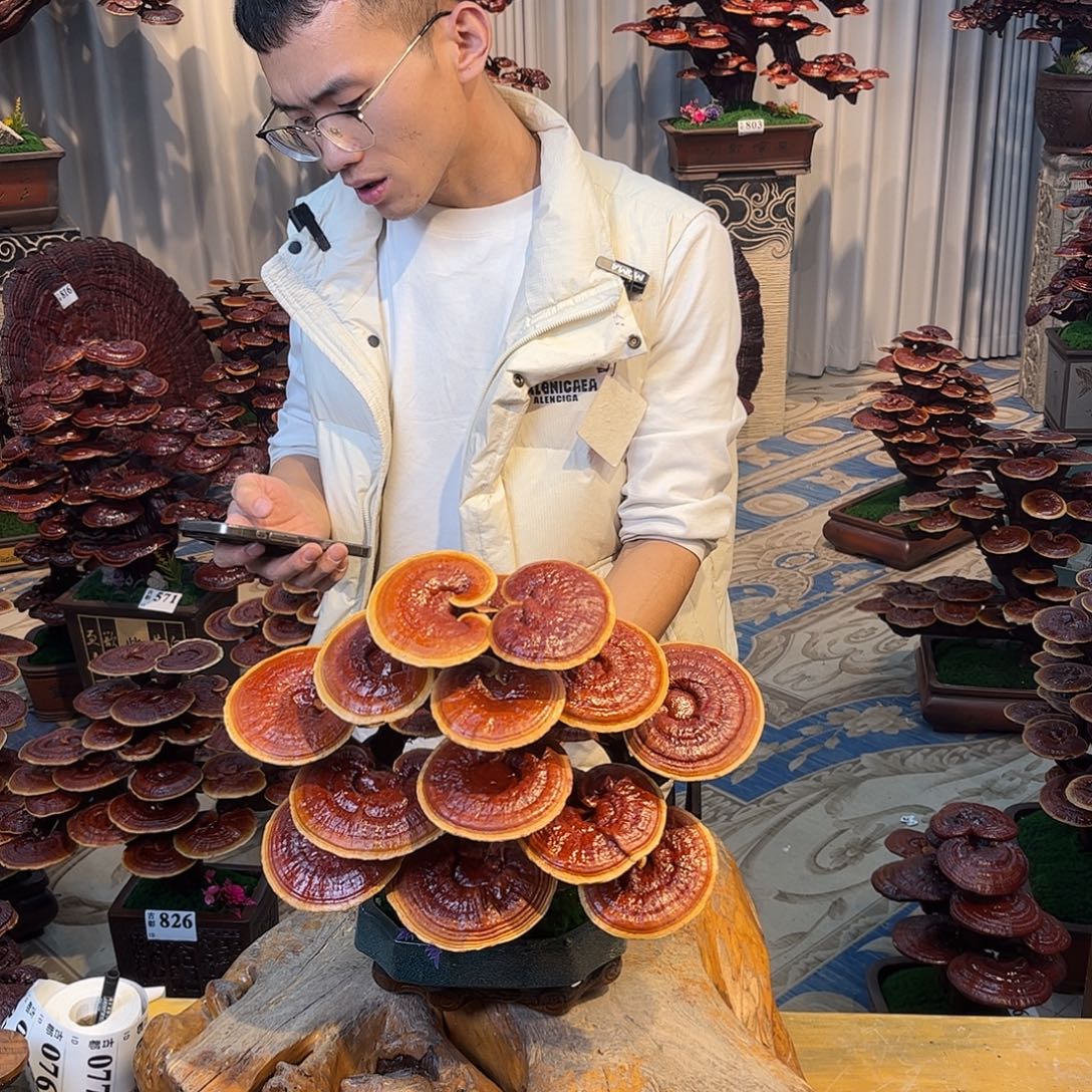 无花朵88888888888