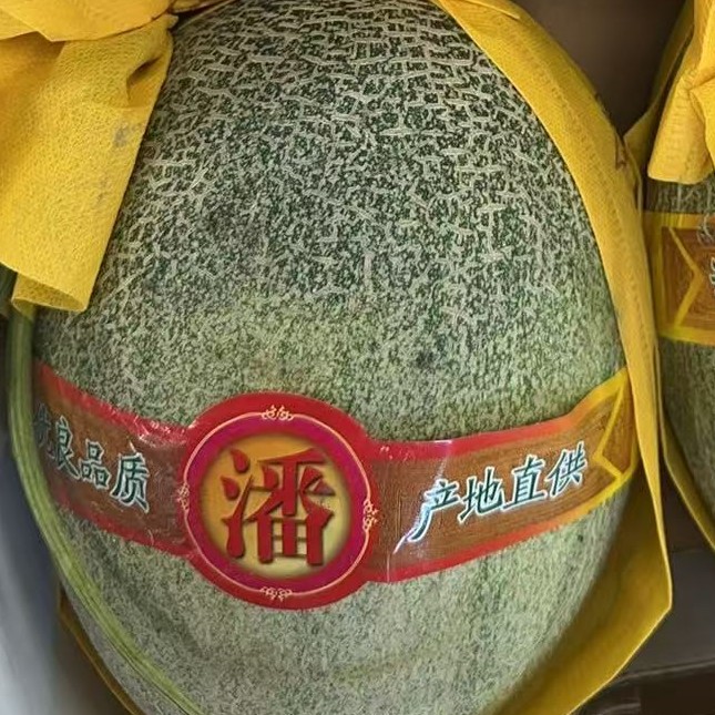 新鲜哈密瓜一个G