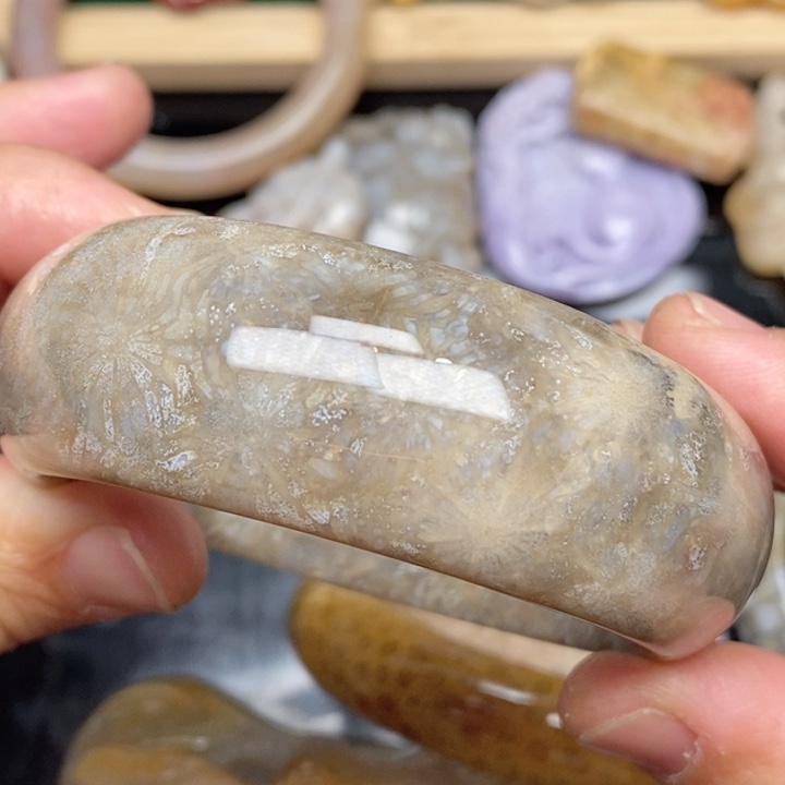 硅化珊瑚（珊瑚玉）手镯未镶嵌54