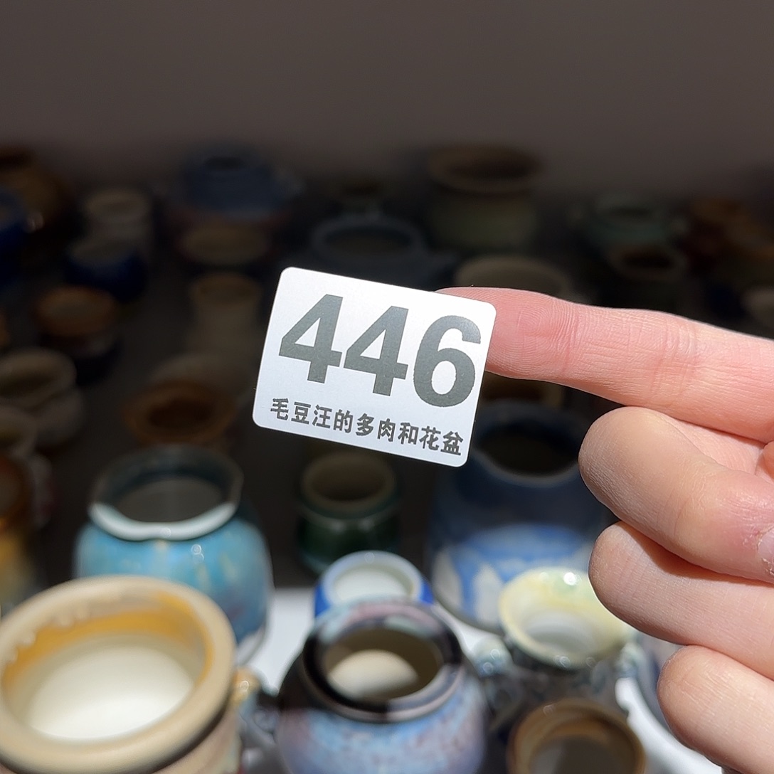 446 随机六只瑕疵花盆 no退no换