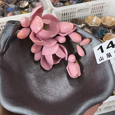 瓷片柴烧柴烧柴烧147