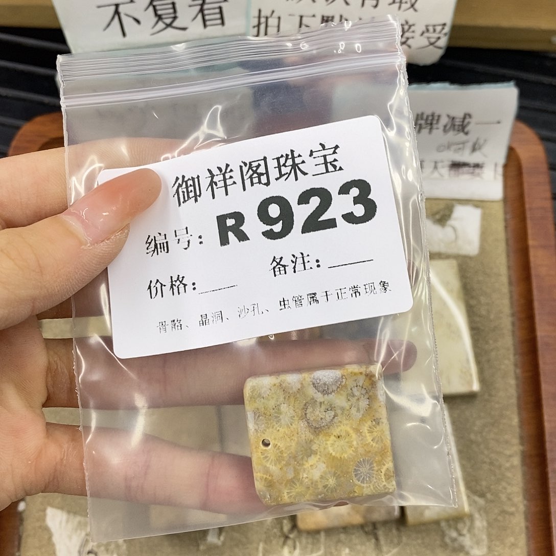 硅化珊瑚（珊瑚玉）未镶嵌颈饰民**学