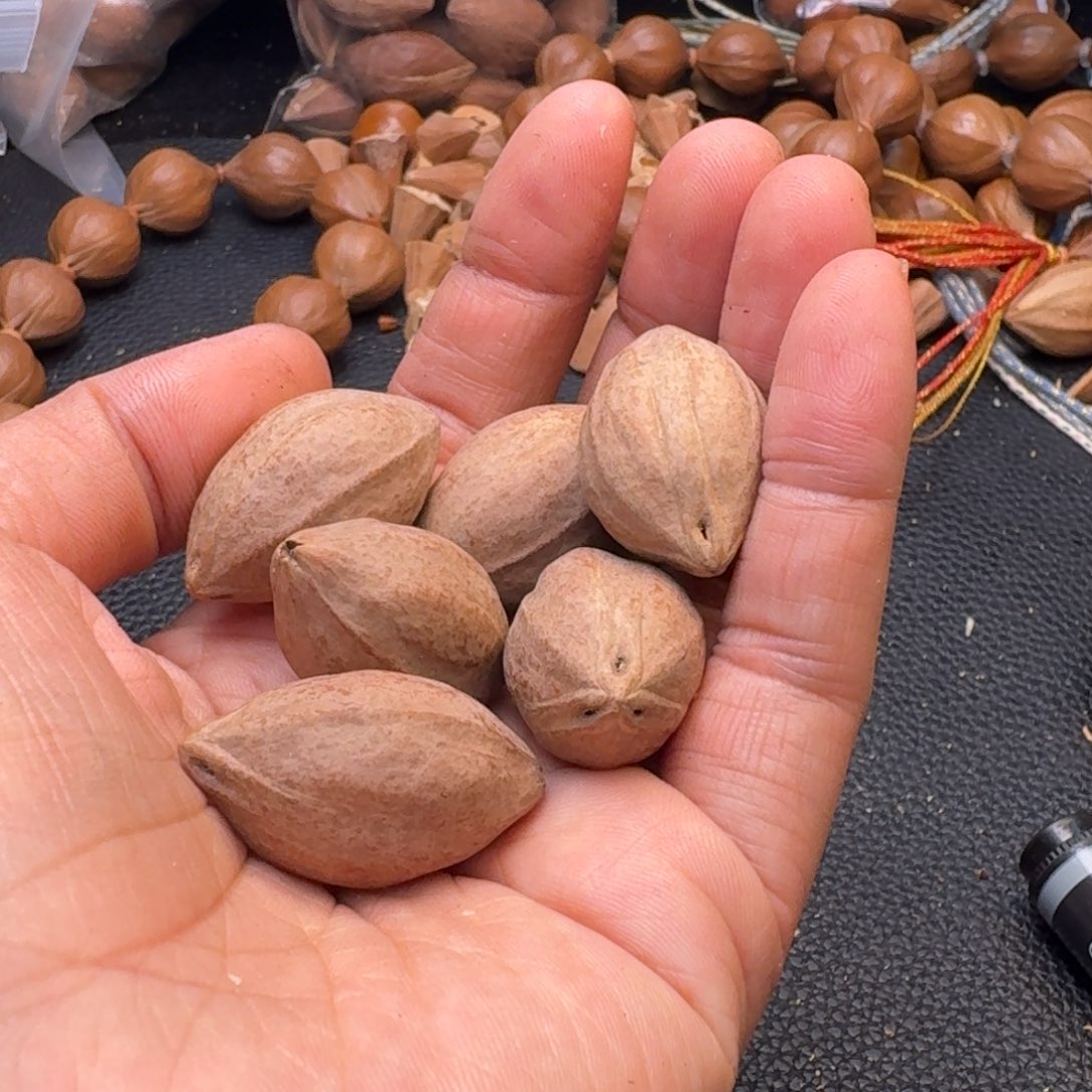 ****茶手串/手链橄榄核1