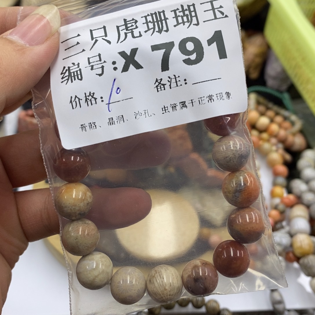 硅化珊瑚（珊瑚玉）X未镶嵌买*买
