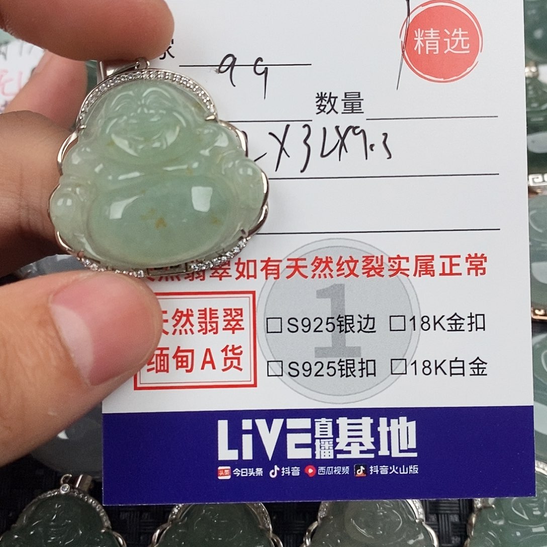 翡翠银S925镶嵌颈饰