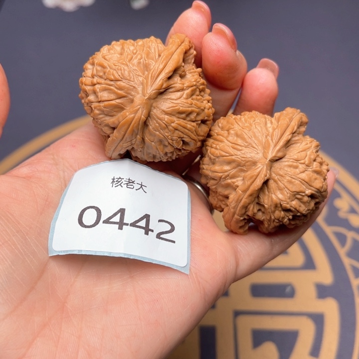 文玩核桃把件44白狮子 0442