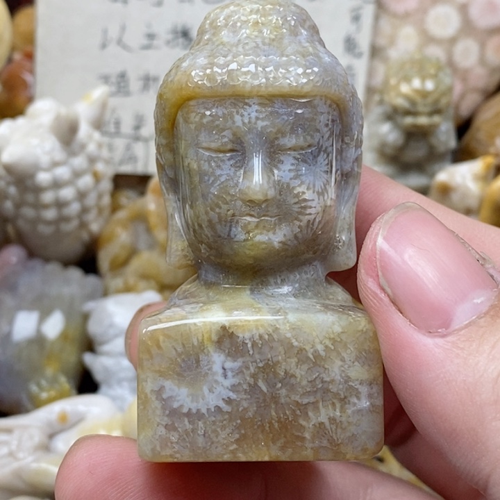 颈饰未镶嵌硅化珊瑚（珊瑚玉）用****1