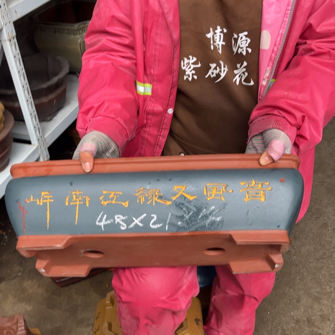 花盆紫砂盆景艺术