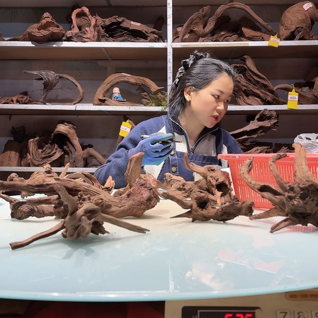 倍诸沉木不包损必褪色宇***帅6268玲珑木小货