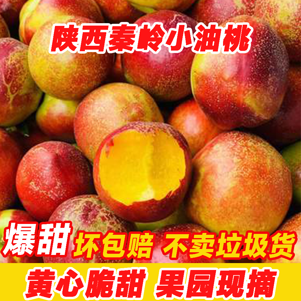 （自家种植）陕西露天爆甜麻点大油桃新鲜当季脆桃农户自种现采现摘