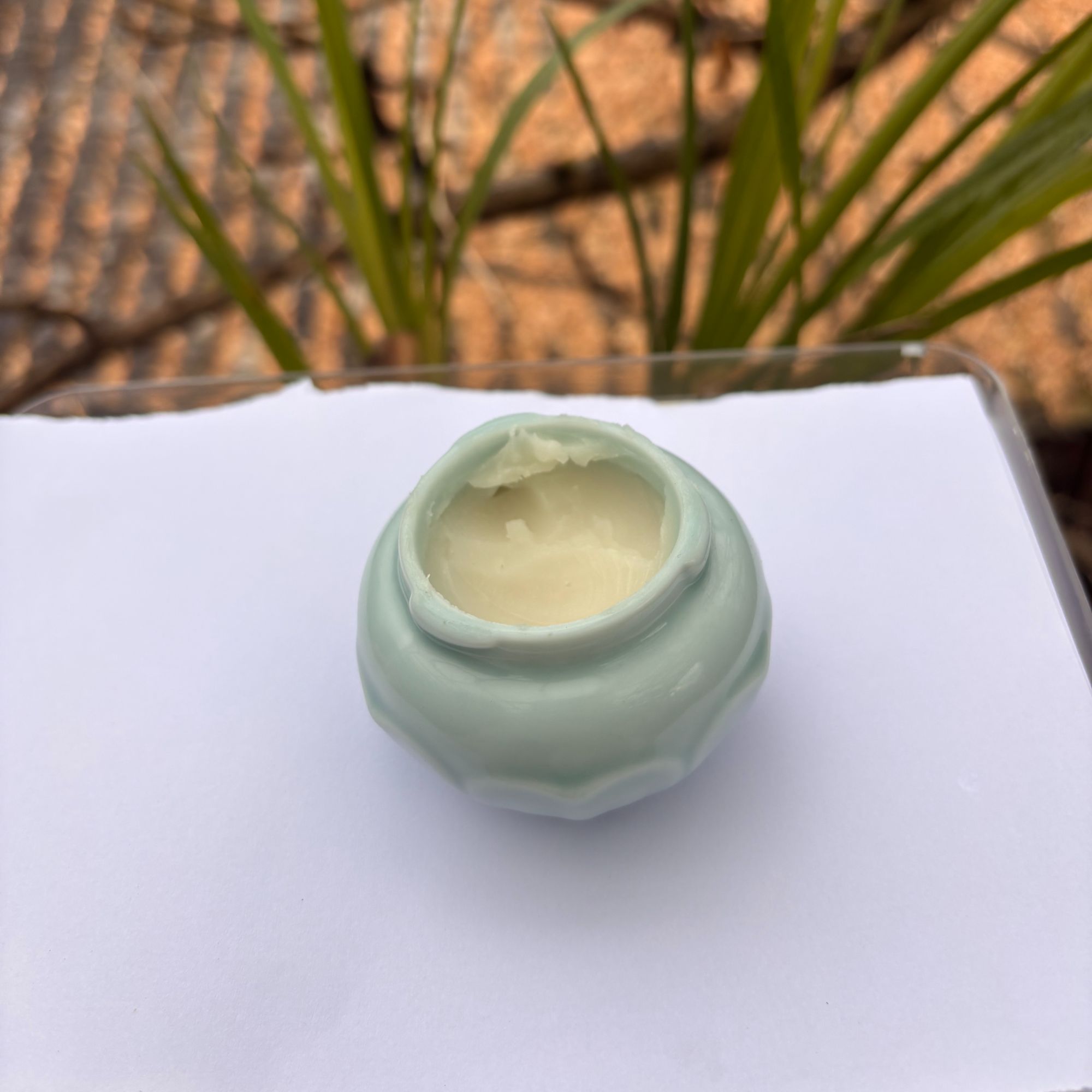 2【S-油】净含量：20-200g【小田现收】菌