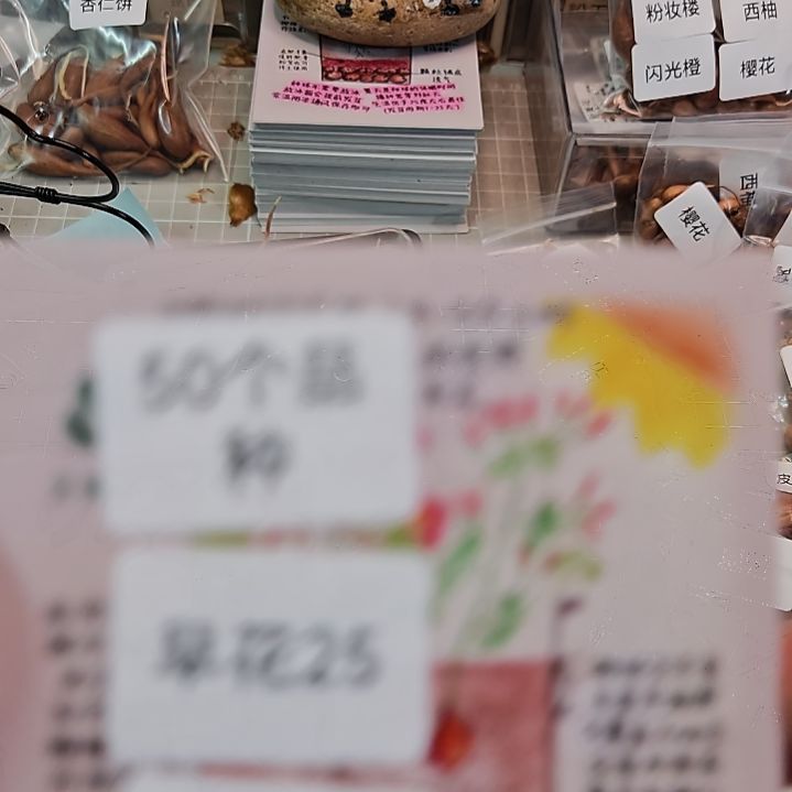 无***艺酢浆草50个品种早晚花各一半