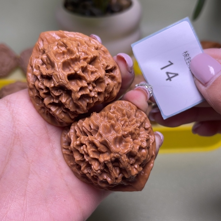 文玩核桃把件帝王43.14