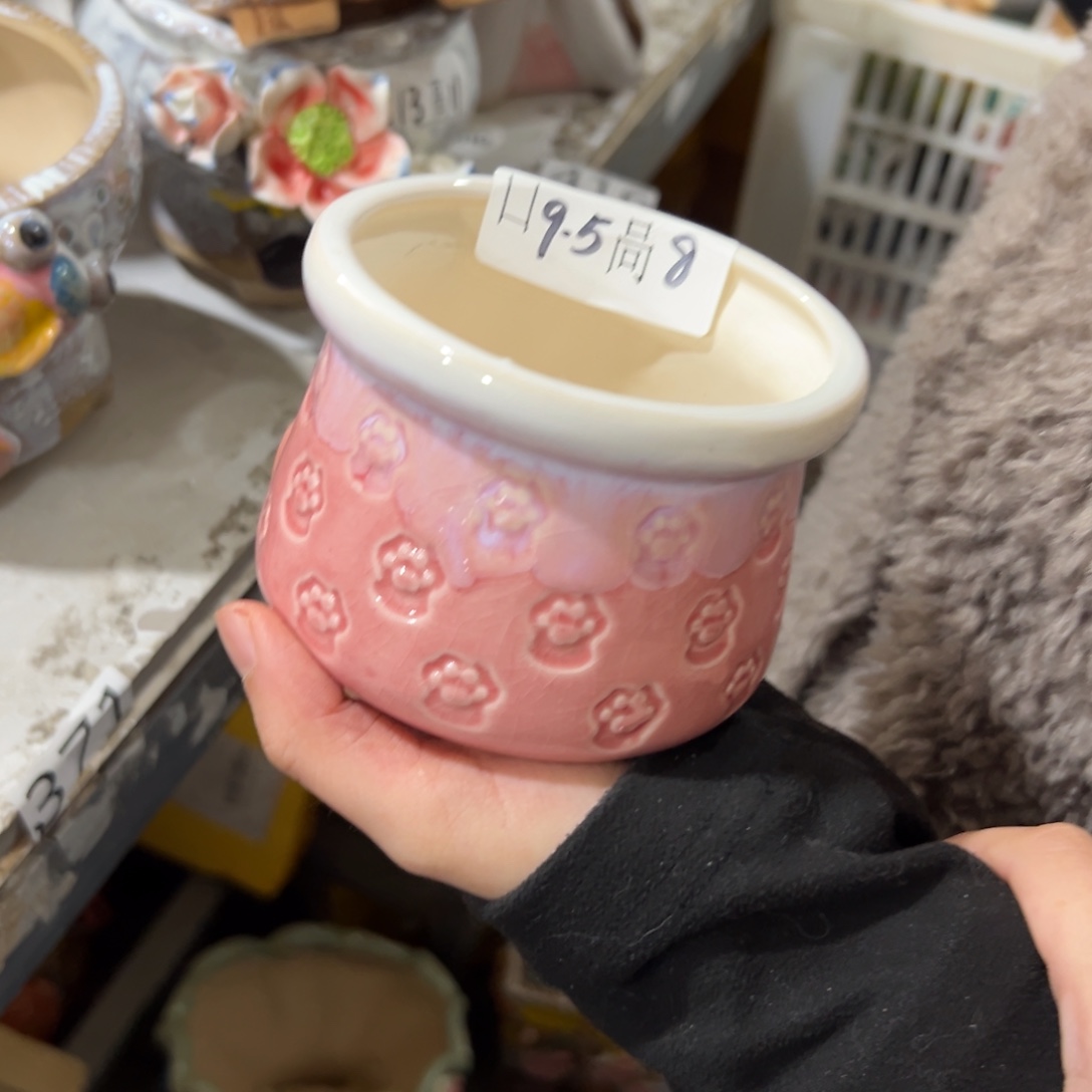 花盆，拍满20发货，退款拉黑