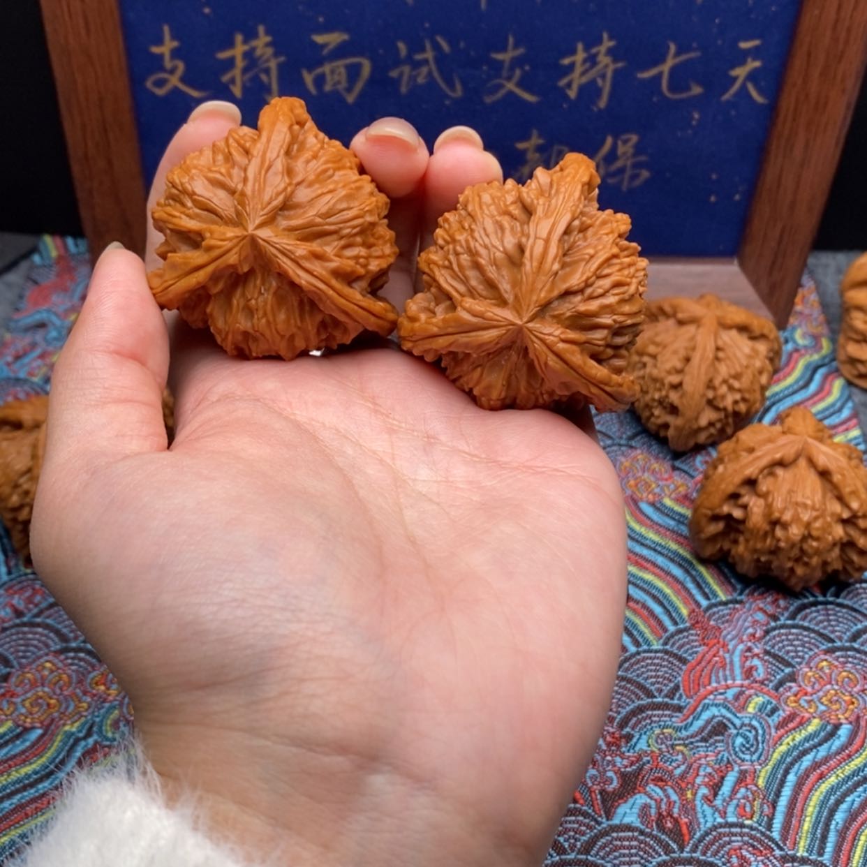 【闪购商品】一*乐白狮