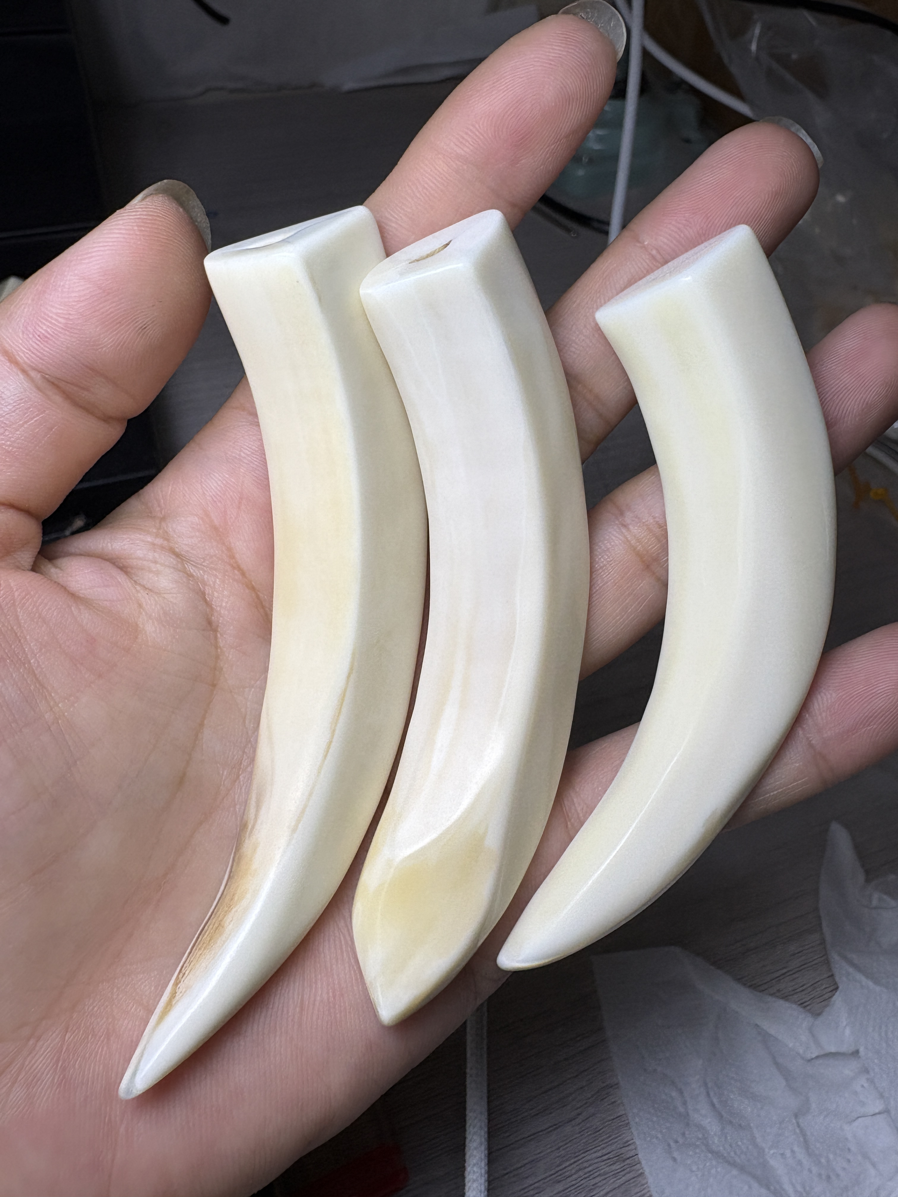 猪牙9厘米獠牙一根微微带空心