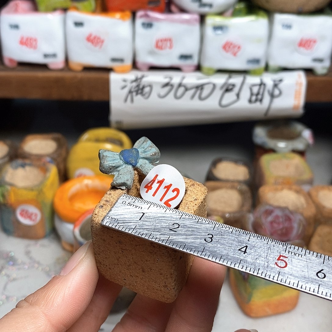 红陶拍5送一个小，处理