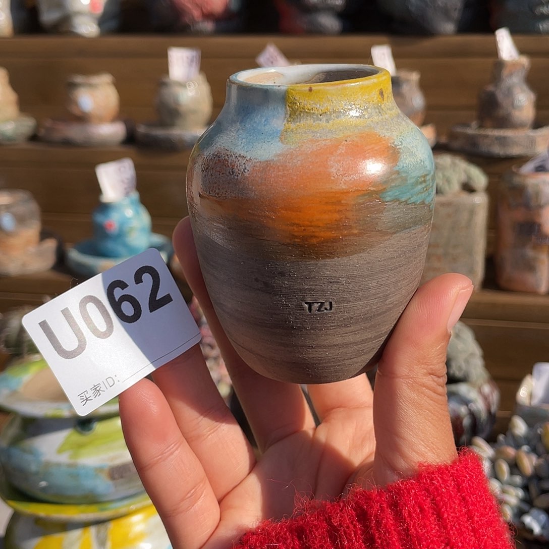 坛子姐花盆 梅瓶小号内口3.5左右 百搭