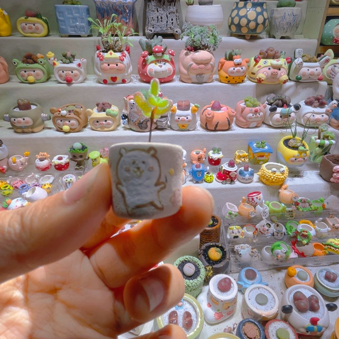 弦*语解语专属链接拍拍