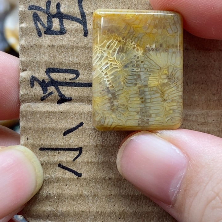 硅化珊瑚（珊瑚玉）颈饰未镶嵌