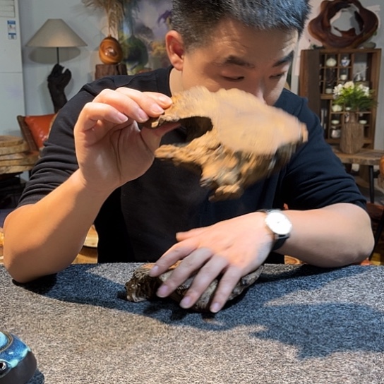 木（非红木类）茶盘桌子干泡福利不停