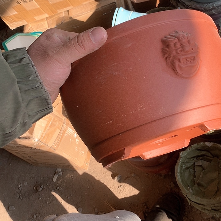 紫砂优秀青年科技学院教授一样