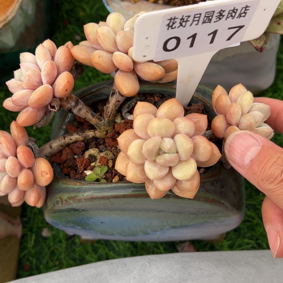 用***70117满30包邮天冷地区必拍保温箱