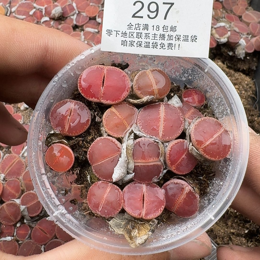 297满18包邮保温袋联系客服