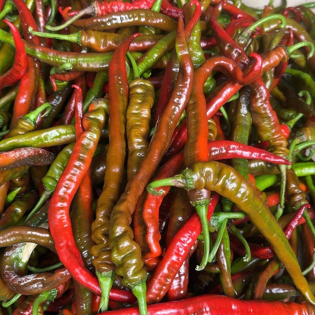 中国大陆五斤装乌红椒又辣又香