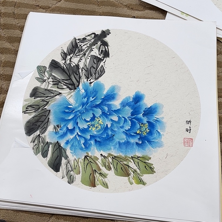 国画花鸟的翅膀和翅膀都是白色的羽毛