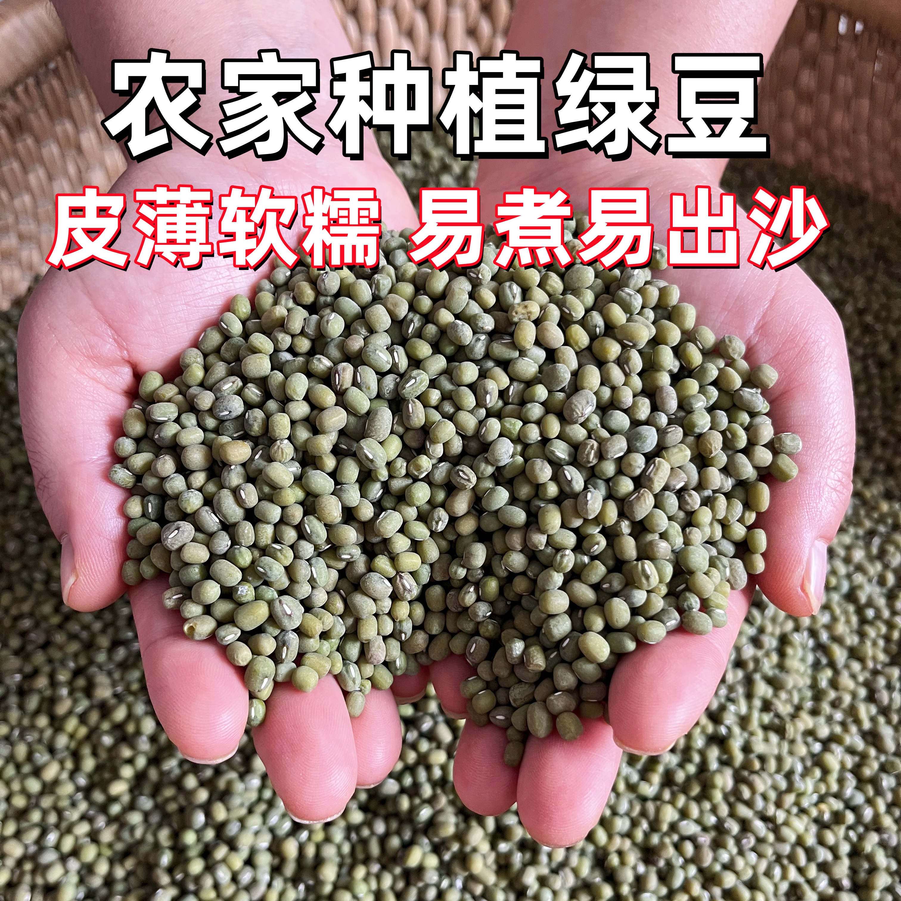【25年新绿豆】沂蒙山农家精选粗粮毛绿豆健康营养身材管理专用糙米