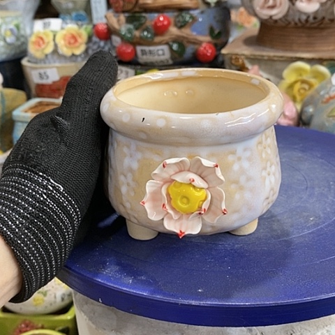 【闪购商品】红陶。