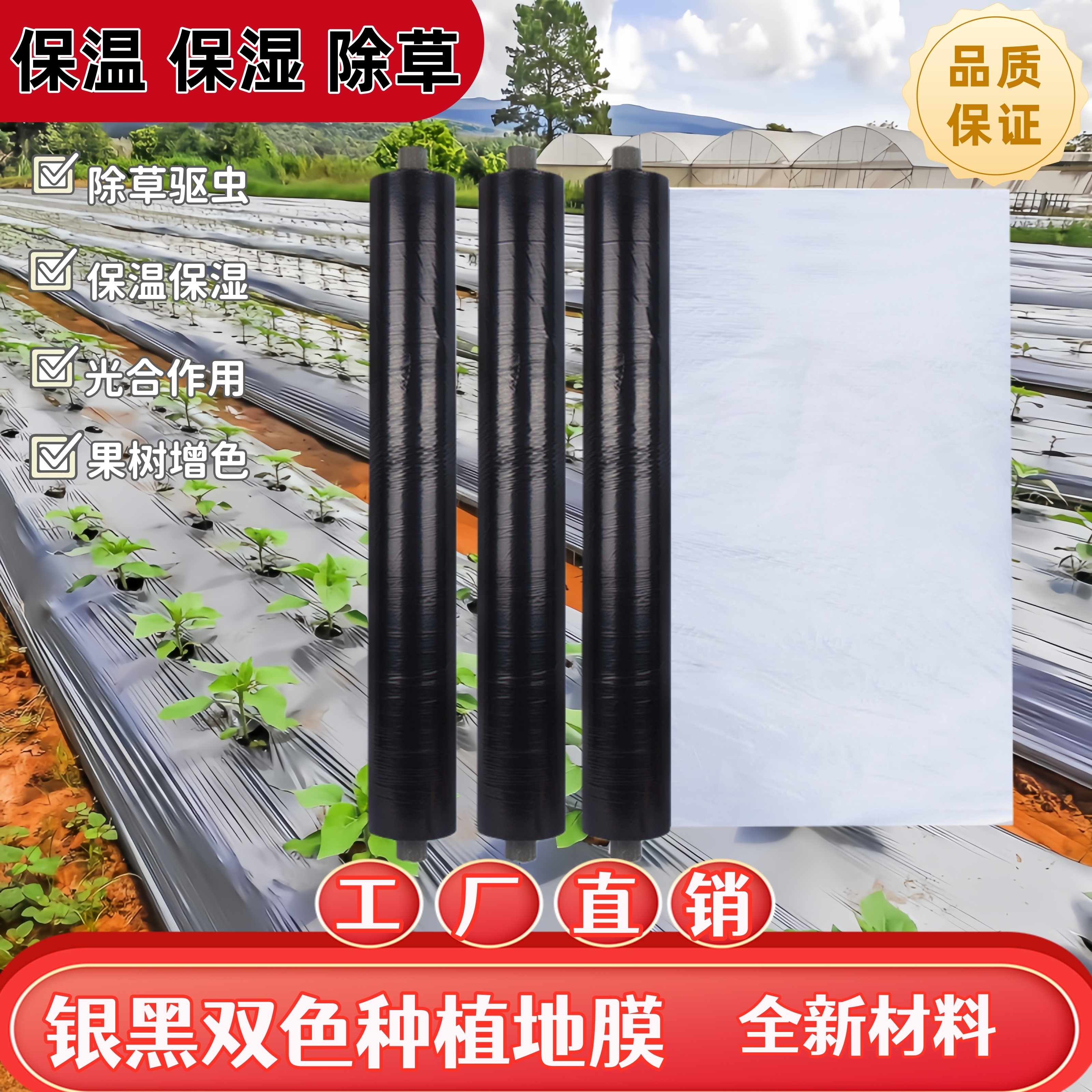 银黑农用地膜反光驱虫除草保温地膜果园蔬菜大棚专用地膜塑料薄膜