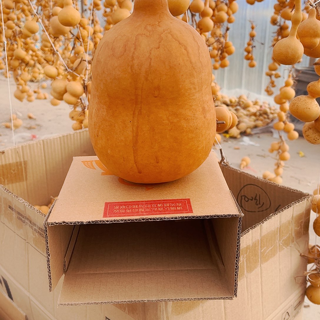 连***心大叶紫檀（黑酸枝木类）