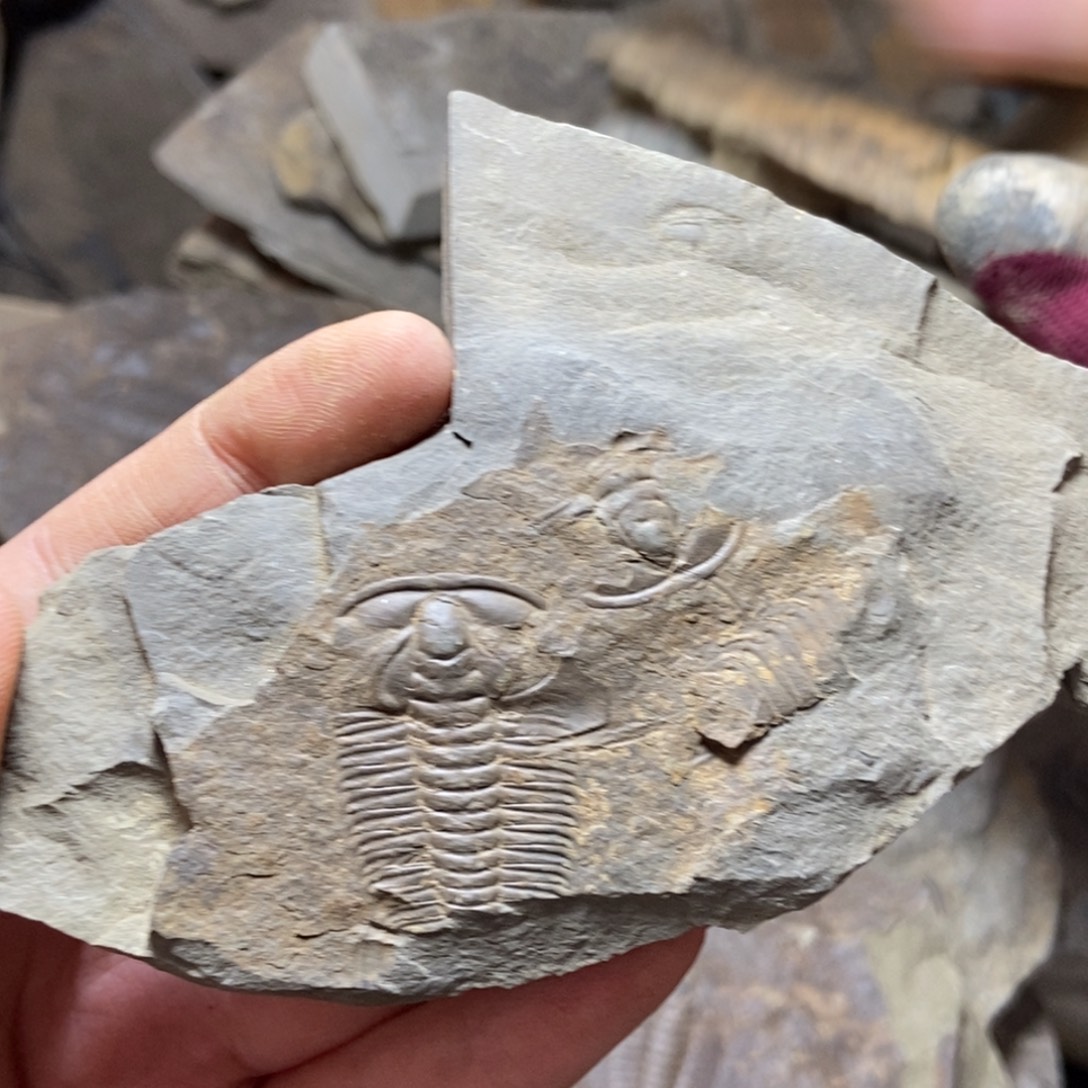 用***6石材11111111111111