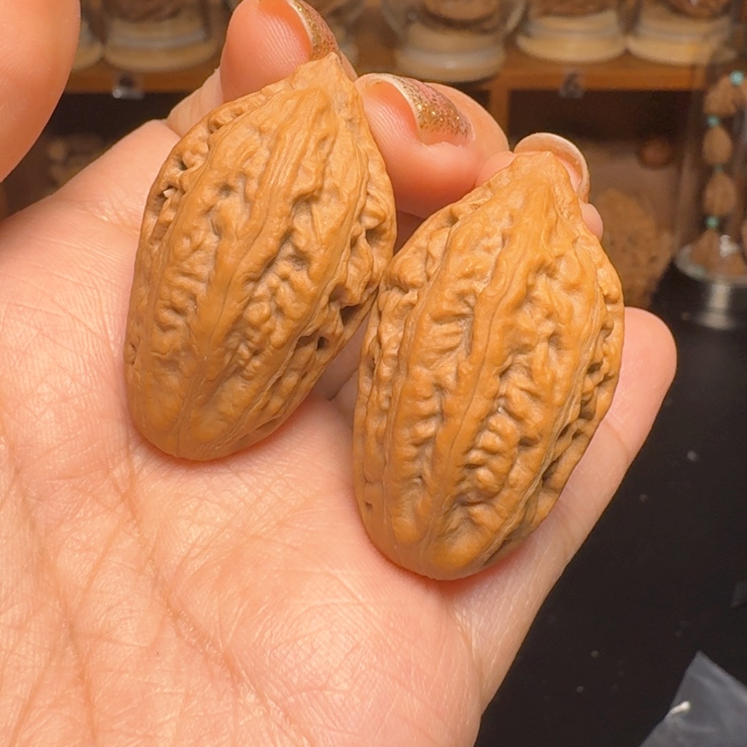 金丝蛹 纯野生东北楸子文玩核桃手把件