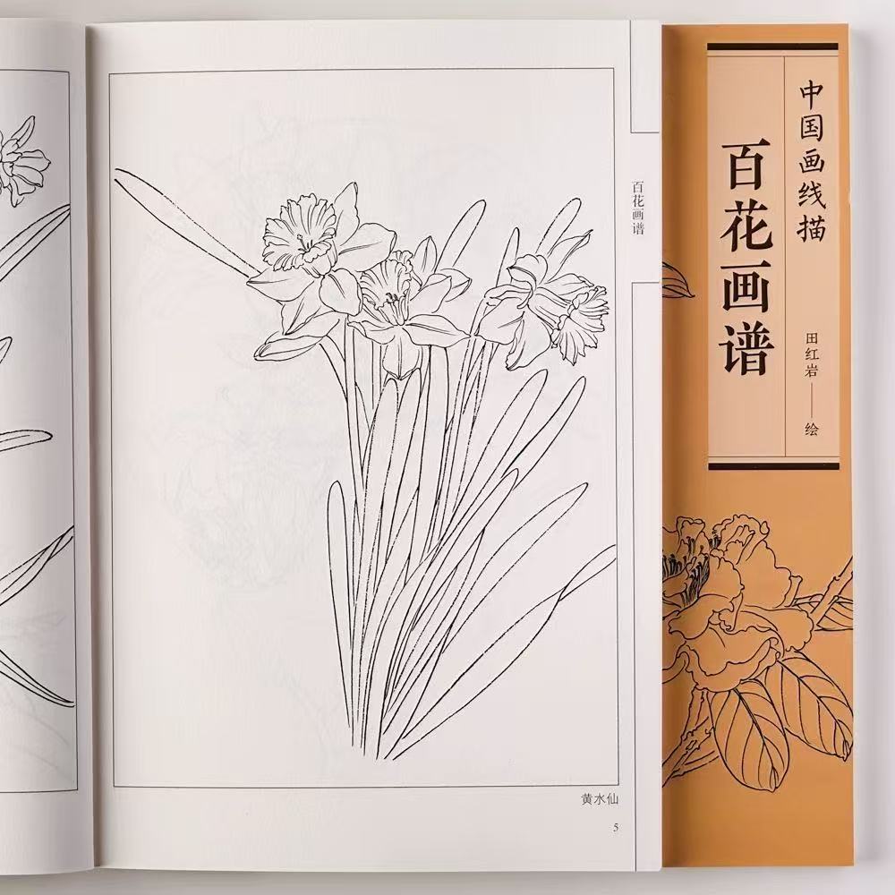 百花画谱工笔画底稿百花白描书线描图谱花卉工笔底稿