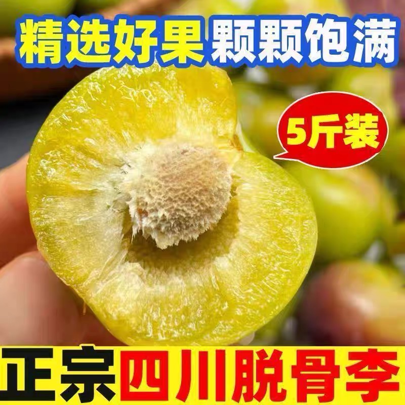 四川高山茵红李脱骨李半边红酸甜多汁新鲜采摘当季水果