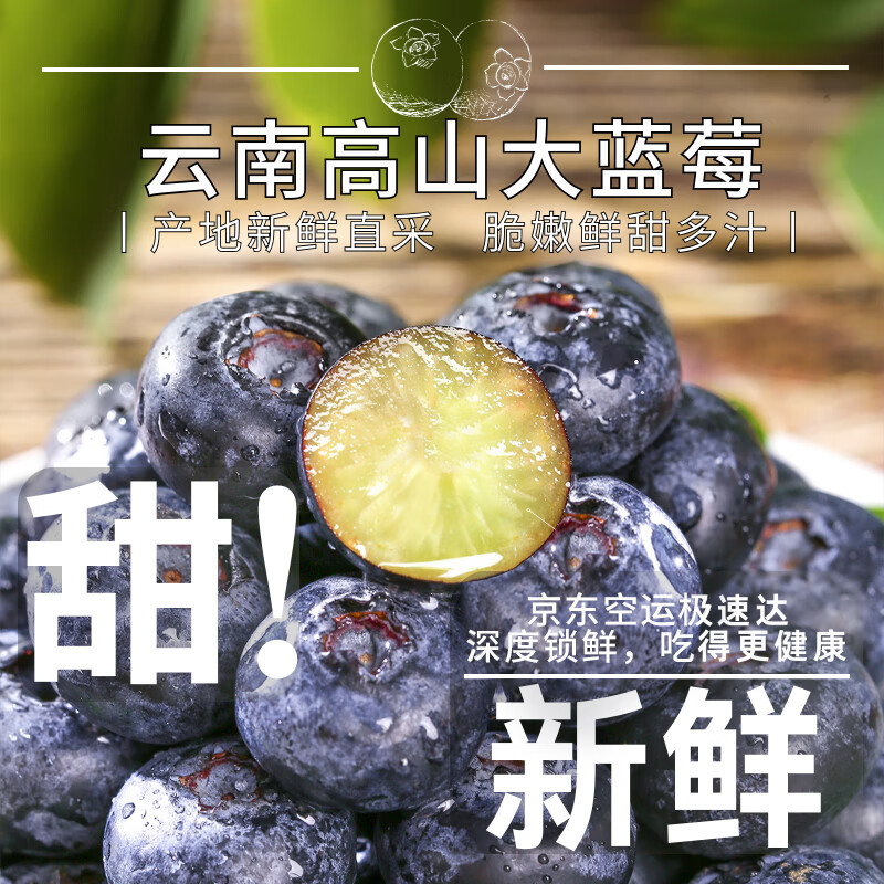 【精品特大果!】云南露天花香蓝莓高山种植现采现发顺丰空运带卡尺