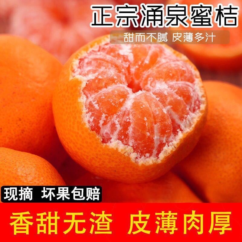 《云8专属》《正宗涌泉蜜桔》浙江临海涌泉蜜桔宫川台州高山无核礼盒包装送礼浙江省